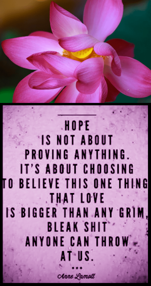 Screen Shot 2018-02-07 at 10.52.13 PM.png