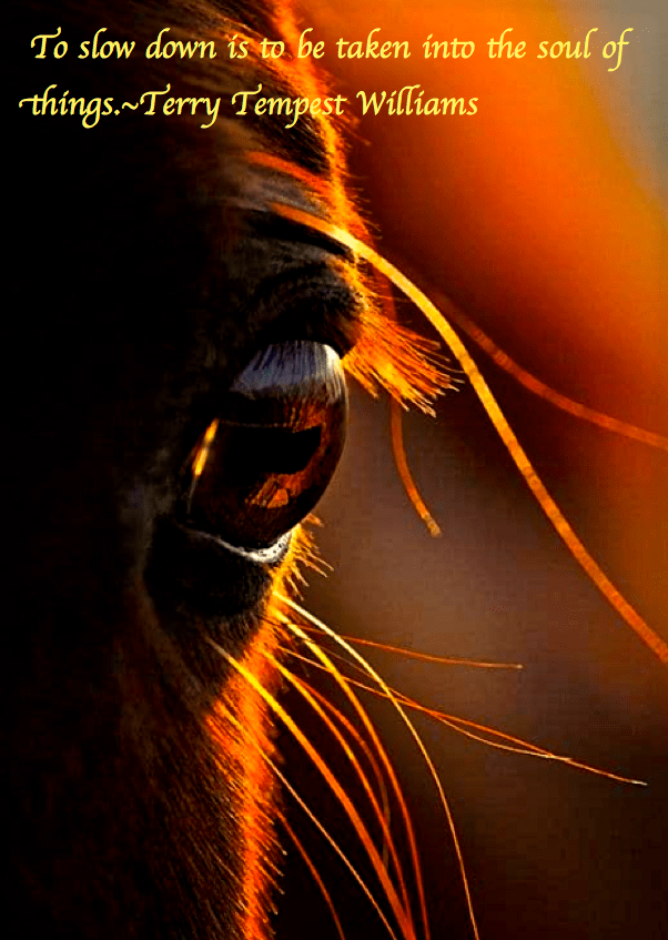 Screen Shot 2018-02-08 at 10.36.22 PM.png