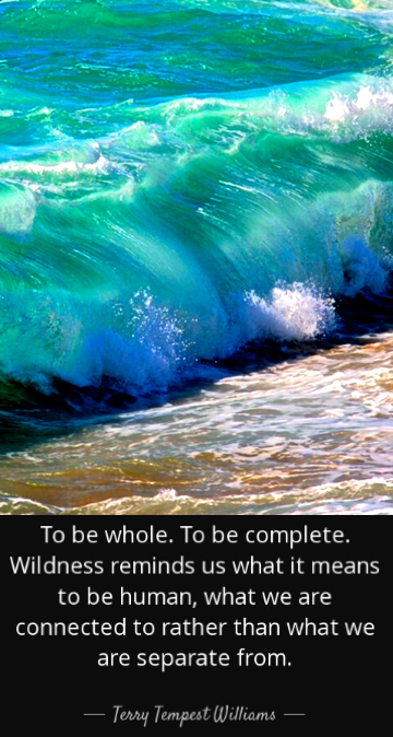 Screen Shot 2018-02-09 at 10.37.23 PM.png