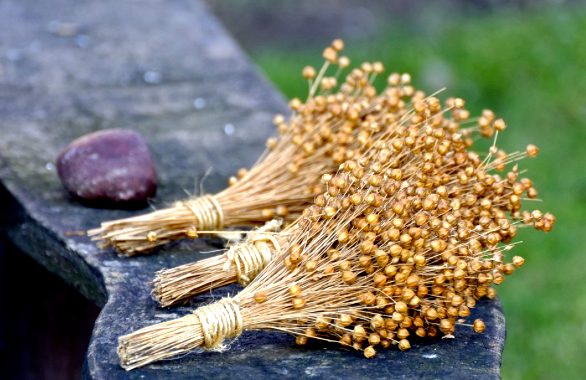 Screen Shot 2018-02-10 at 10.45.15 PM.png