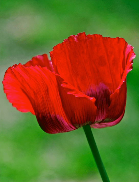 Screen Shot 2018-02-11 at 11.21.31 PM.png