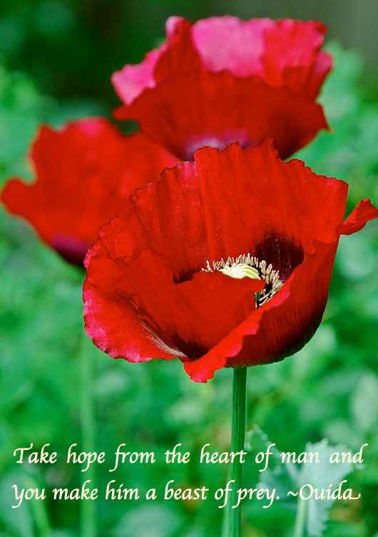 Screen Shot 2018-02-11 at 11.23.37 PM.png