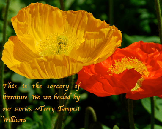 Screen Shot 2018-02-11 at 11.26.47 PM.png