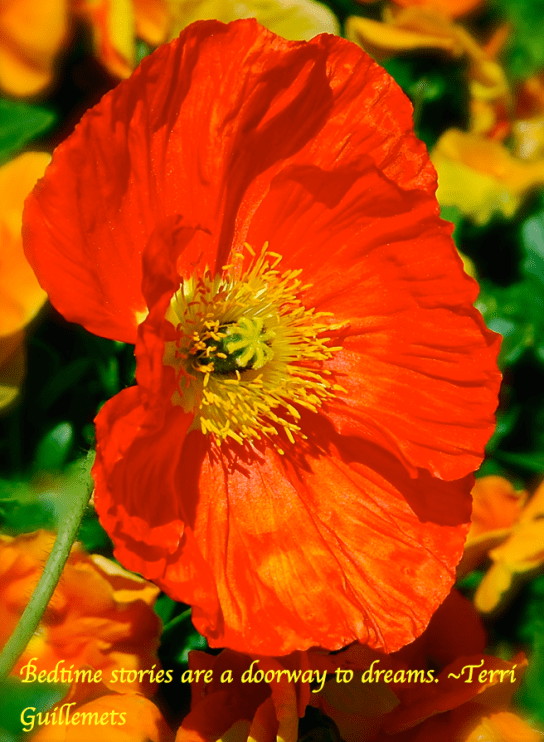 Screen Shot 2018-02-11 at 11.28.32 PM.png