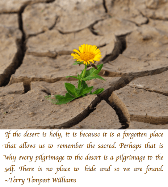 Screen Shot 2018-02-13 at 2.48.33 PM.png