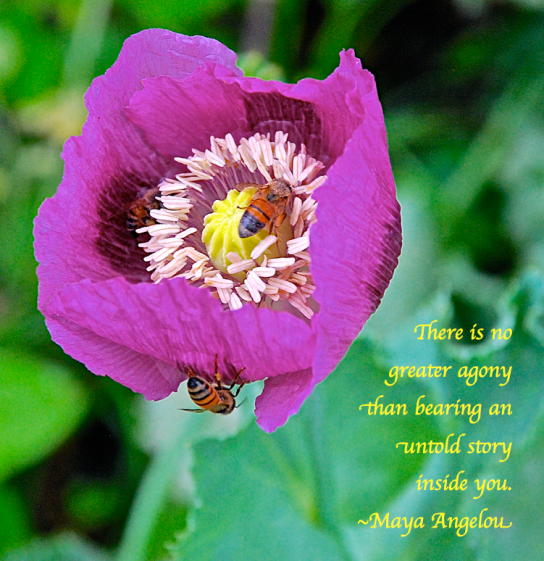 Screen Shot 2018-02-13 at 8.44.43 PM.png