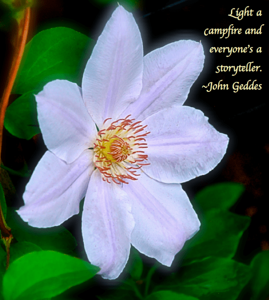 Screen Shot 2018-02-13 at 8.48.15 PM.png