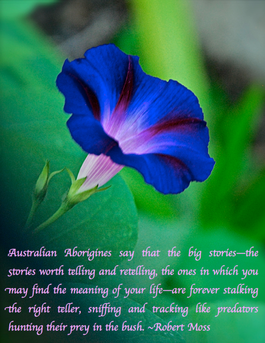 Screen Shot 2018-02-13 at 8.54.39 PM.png