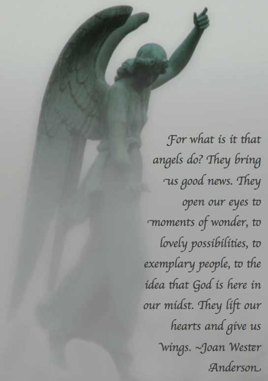 Screen Shot 2018-02-13 at 9.00.54 PM.png