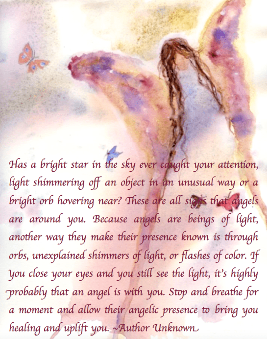 Screen Shot 2018-02-14 at 8.30.03 PM.png