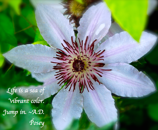 Screen Shot 2018-02-16 at 11.18.38 PM.png