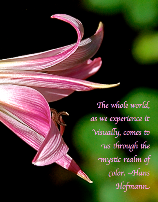 Screen Shot 2018-02-16 at 11.22.42 PM.png