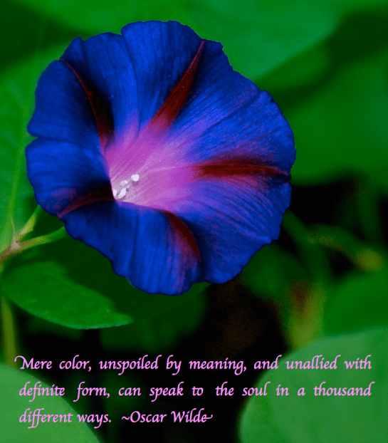 Screen Shot 2018-02-16 at 11.25.46 PM.png