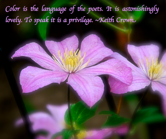 Screen Shot 2018-02-16 at 11.27.43 PM.png