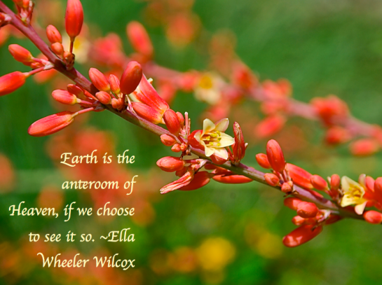 Screen Shot 2018-02-18 at 10.01.28 PM.png