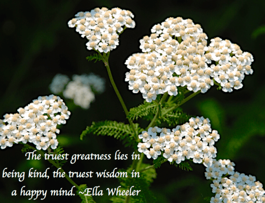 Screen Shot 2018-02-18 at 10.06.21 PM.png