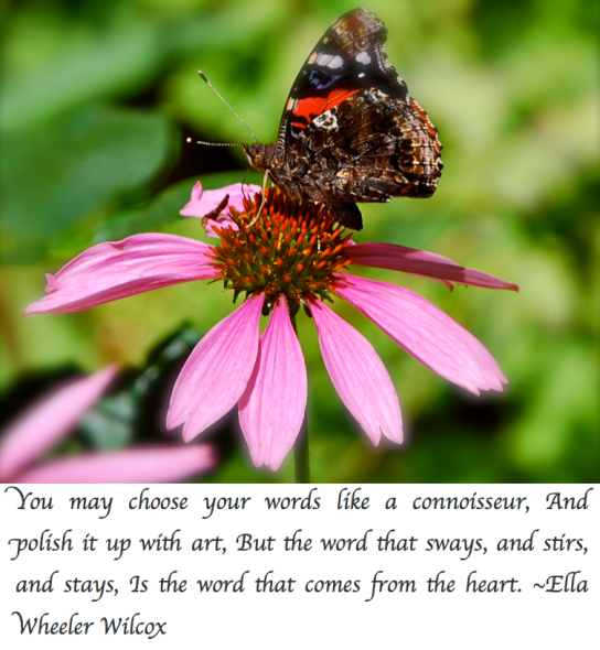 Screen Shot 2018-02-18 at 9.43.12 PM.png