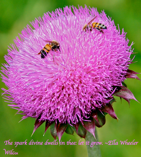 Screen Shot 2018-02-18 at 9.55.58 PM.png