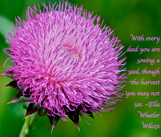 Screen Shot 2018-02-18 at 9.58.49 PM.png