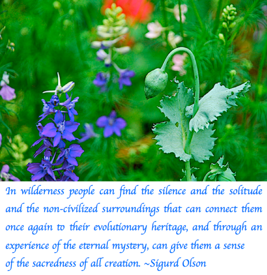 Screen Shot 2018-02-22 at 8.43.29 PM.png