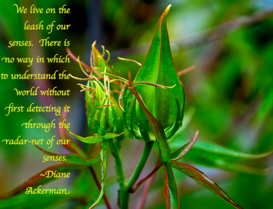 Screen Shot 2018-02-22 at 9.19.55 PM.png