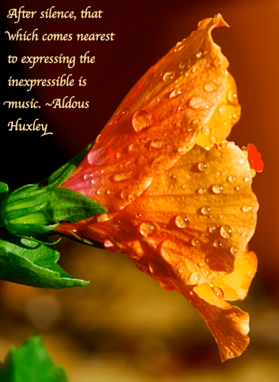 Screen Shot 2018-02-22 at 9.22.21 PM.png