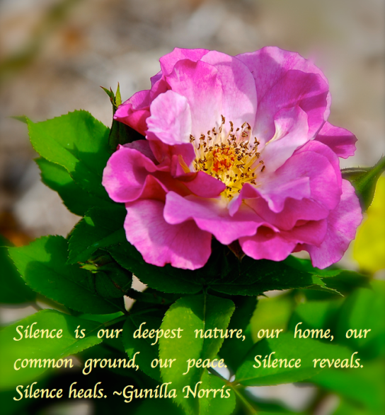 Screen Shot 2018-02-22 at 9.26.08 PM.png