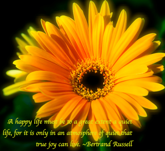 Screen Shot 2018-02-22 at 9.31.32 PM.png