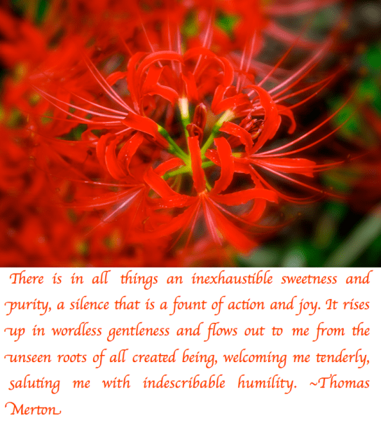 Screen Shot 2018-02-22 at 9.38.54 PM.png