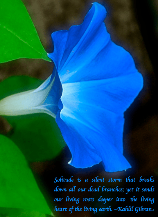 Screen Shot 2018-02-22 at 9.43.33 PM.png