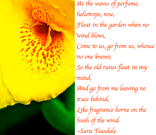 Screen Shot 2018-02-22 at 9.55.17 PM.png