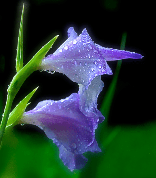 Screen Shot 2018-02-23 at 9.49.58 PM.png