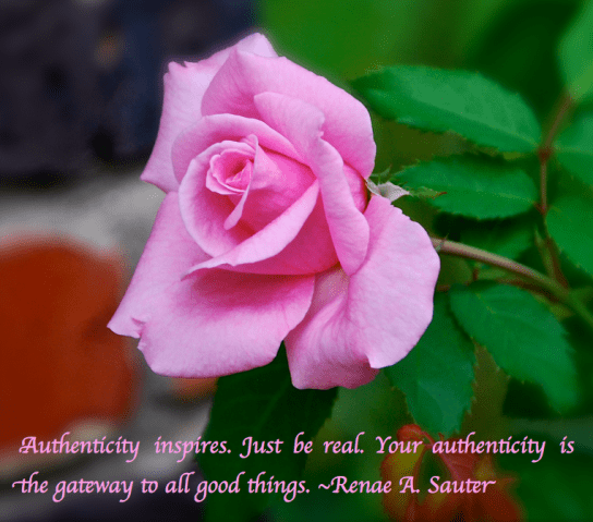 Screen Shot 2018-02-25 at 11.18.07 PM.png