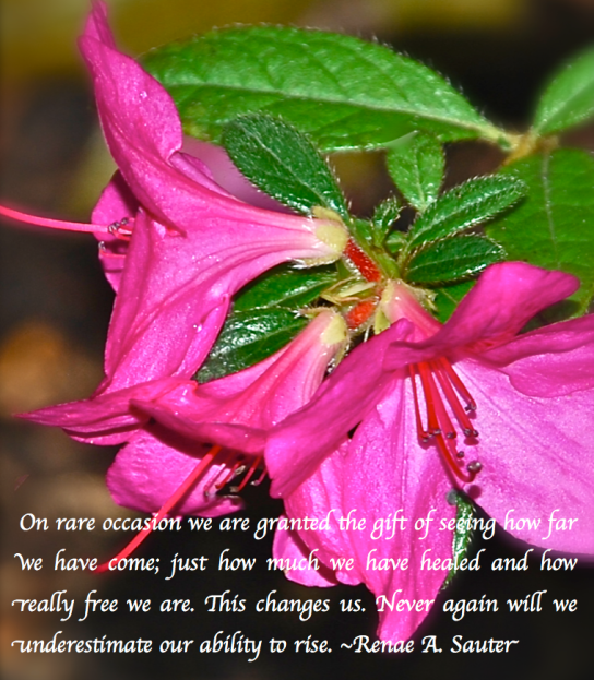 Screen Shot 2018-02-25 at 11.26.00 PM.png