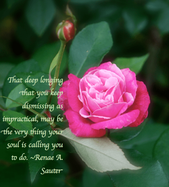 Screen Shot 2018-02-25 at 11.32.32 PM.png