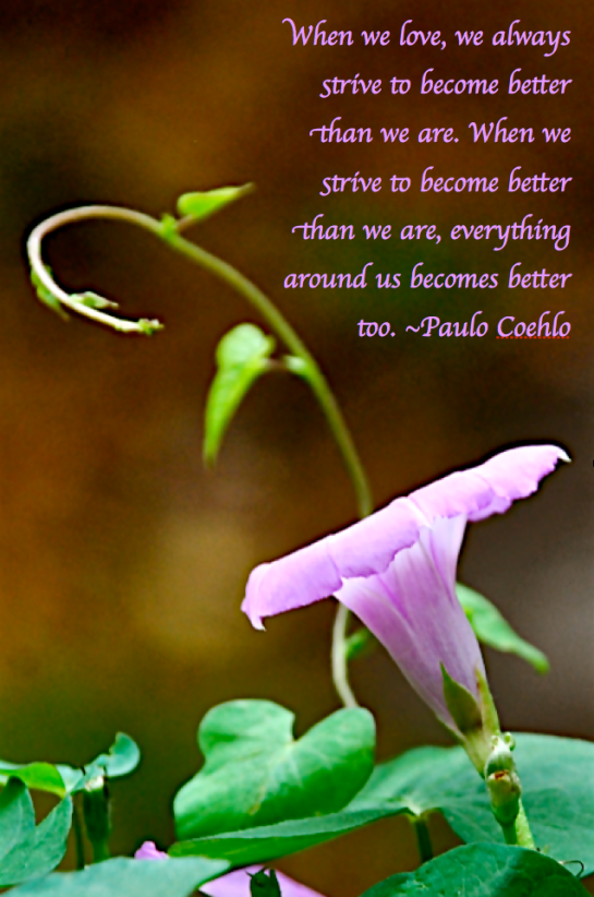 Screen Shot 2018-02-27 at 11.24.56 PM.png