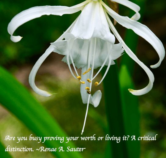 Screen Shot 2018-02-27 at 11.27.20 PM.png