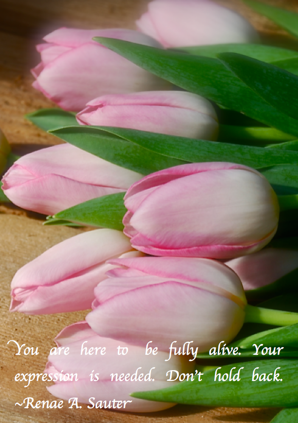 Screen Shot 2018-02-27 at 11.29.04 PM.png