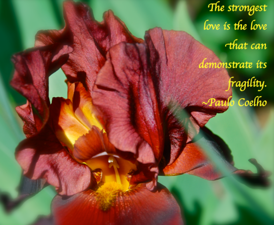 Screen Shot 2018-02-27 at 11.33.47 PM.png