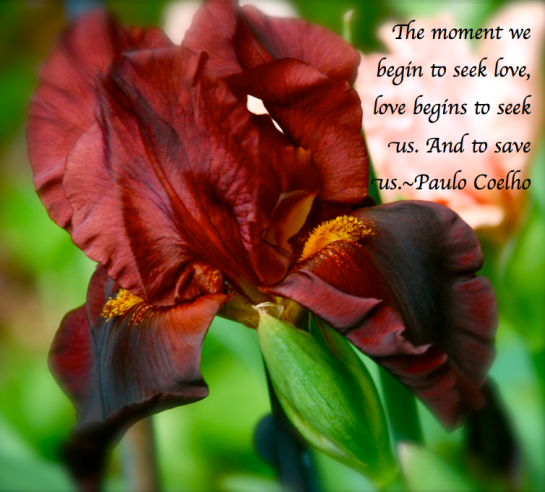 Screen Shot 2018-02-27 at 11.42.38 PM.png