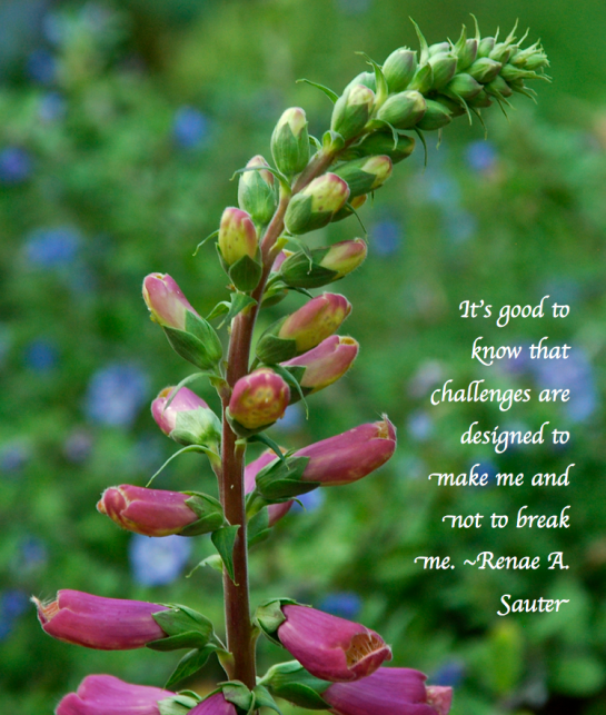 Screen Shot 2018-02-27 at 11.46.36 PM.png