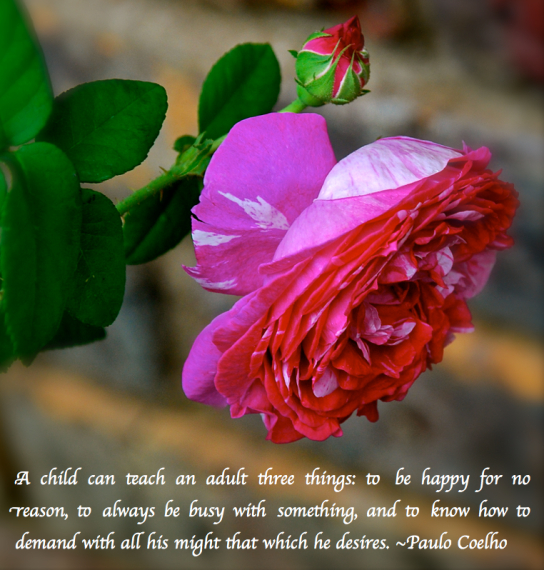 Screen Shot 2018-02-27 at 11.50.36 PM.png