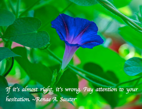 Screen Shot 2018-02-27 at 11.58.36 PM.png