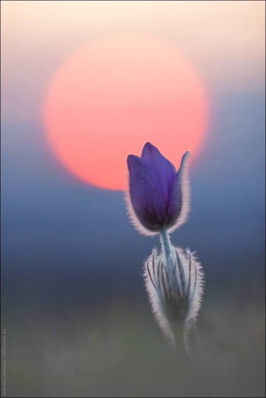 28471395_1667071750038817_7498662118473590834_n