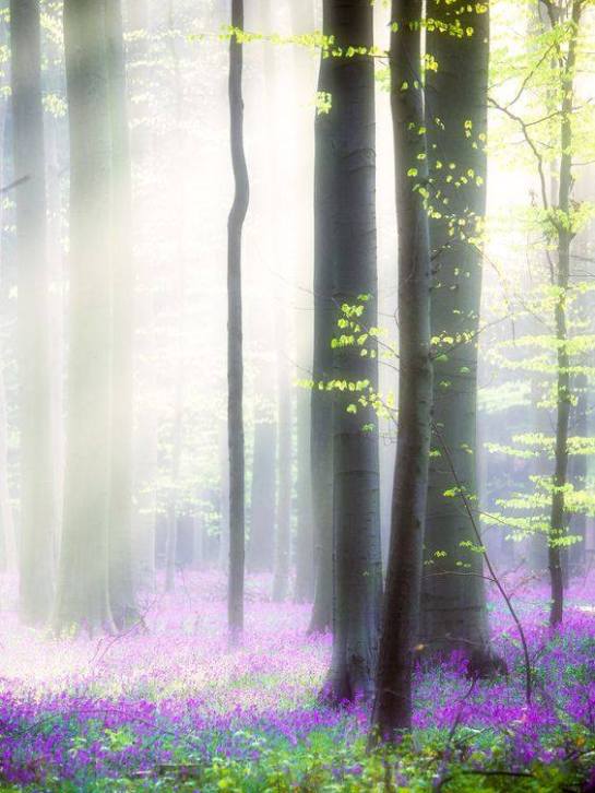 29257820_1677907912288534_7475386077562273792_n