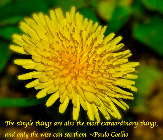 Screen Shot 2018-03-01 at 10.16.54 PM.png