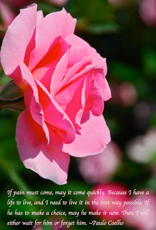 Screen Shot 2018-03-01 at 10.24.32 PM.png