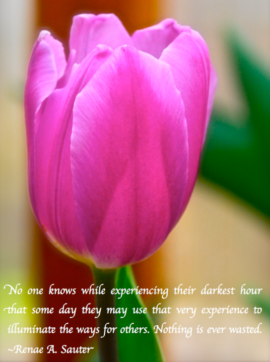 Screen Shot 2018-03-01 at 10.28.24 PM.png