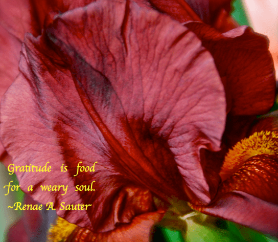 Screen Shot 2018-03-01 at 10.30.44 PM.png