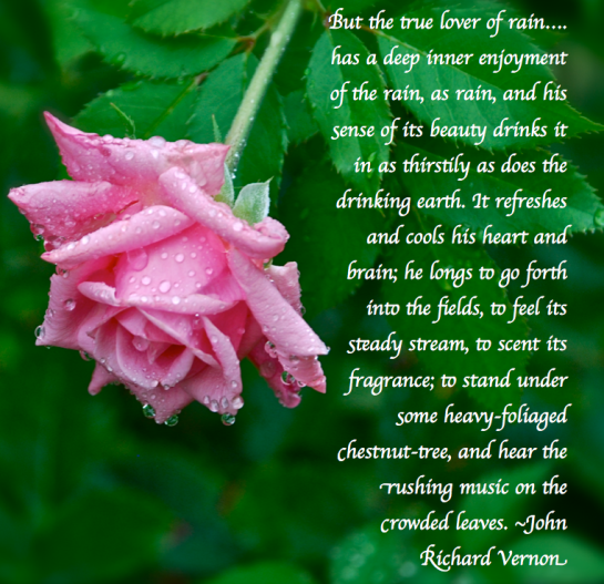 Screen Shot 2018-03-04 at 10.01.18 PM.png